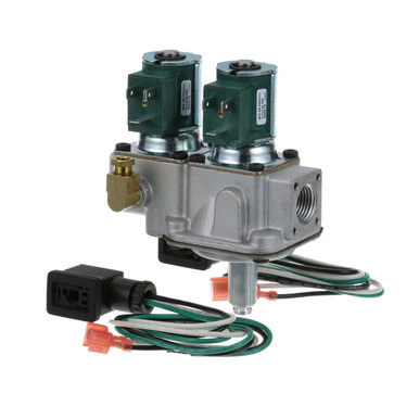 Baso IN/OUT Valve 250,000 BTU, 1/2" FPT Fits Cleveland