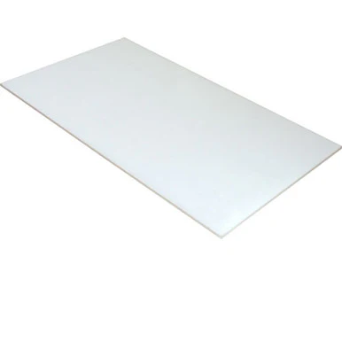 21 1/2 in x 12 in Lexan® Shield