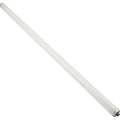 3600 Lumen Fluorescent Bulb