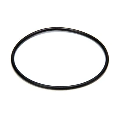 3M Filter Head O-Ring 3MPF101