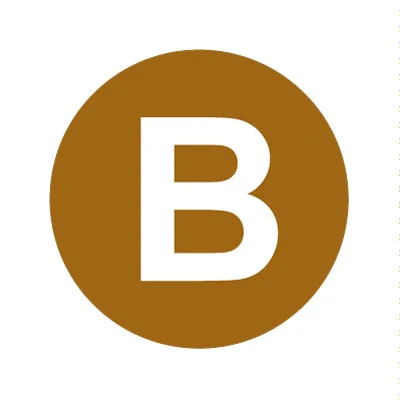 Bargun Button Cap Round, B, Brown Cap White Letter