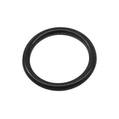 Cornelius O-Ring 488 ID 070 CS 70DU