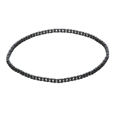 Drive Chain Replaces Roundup 2150294
