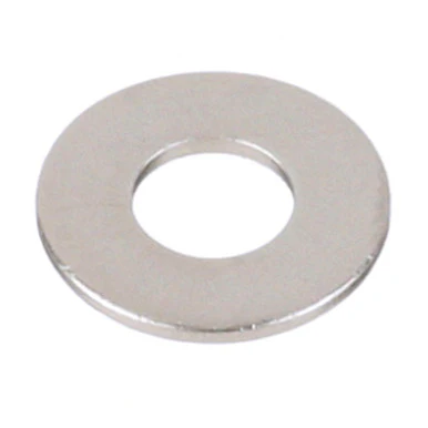 Flat Washer (Bx 100) 18-8