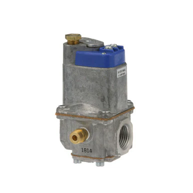 IN/OUT Valve 1/2" FPT, 24V