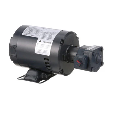 Motor, Pump Ph 1, Assembly