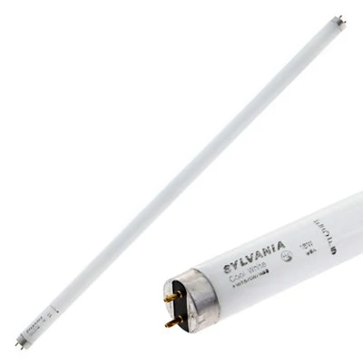 Multiplex Bulb Fluorescent F28T8CW4 28" Long - 1000307