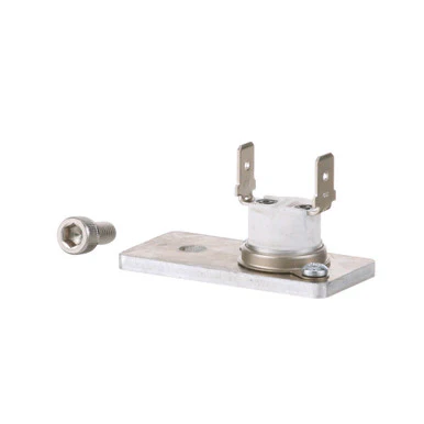 New Style Thermal Snap Switch