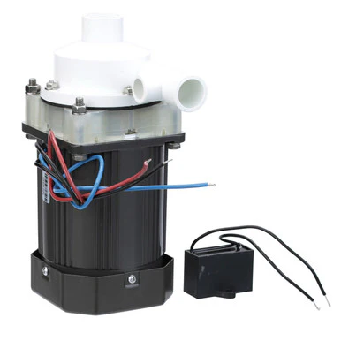 Pump Motor Assembly