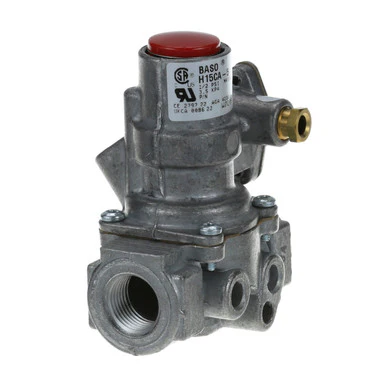 Baso IN/OUT Valve 1/2" FPT Fits Southbend