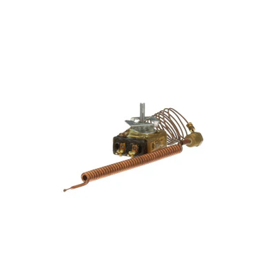 Robertshaw 100-290 Thermostat Fits Groen