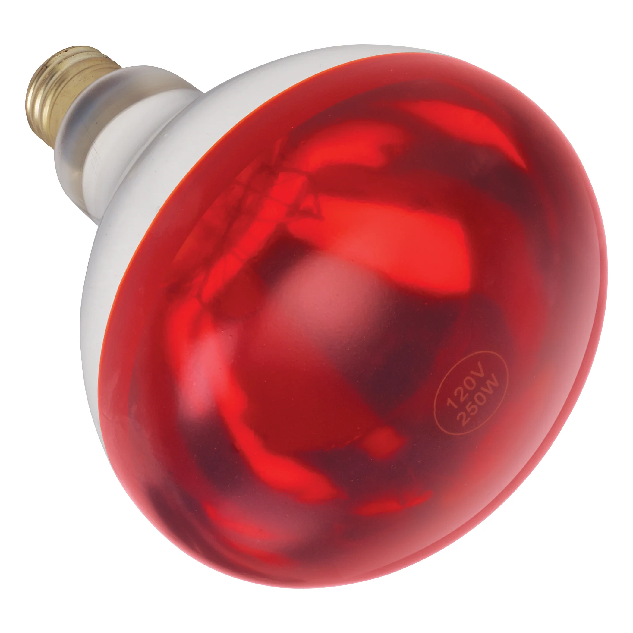 Winco EHL-BR 250 Watt Red Heat Lamp Bulb for EHL-2250 Warming Equipment - Image 2